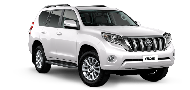 Wind Deflectors/visors Prado (10-20)